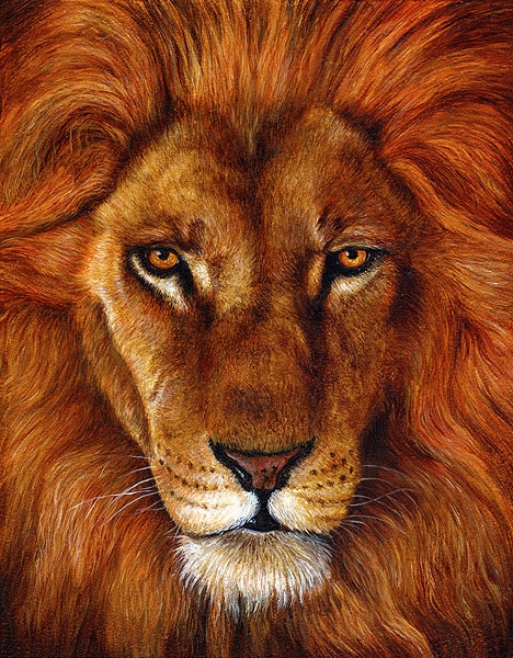 973033bc_lion_king.jpg
