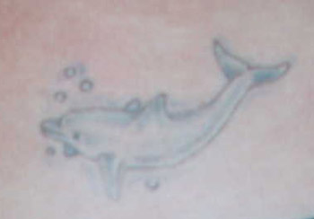 Delfin02.jpg