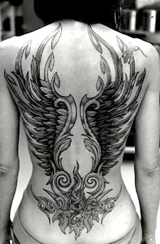 Valentin Steinmann wings3.jpg