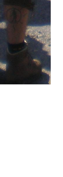 tatÃƒÂ¶ÃƒÂ¶.JPG
