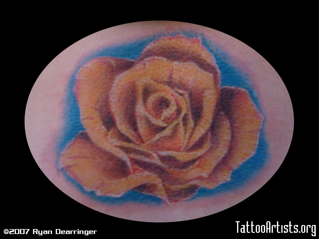 Img98994_YellowDaliRose.jpg