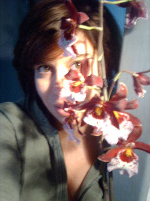 orchideen 008.jpg