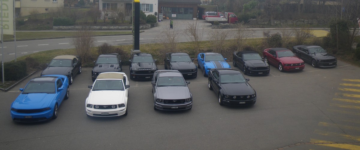 forum small.jpg
