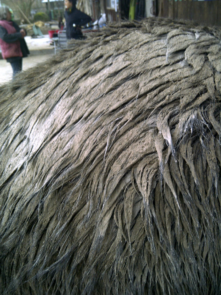 IMG-20110111-00087.jpg
