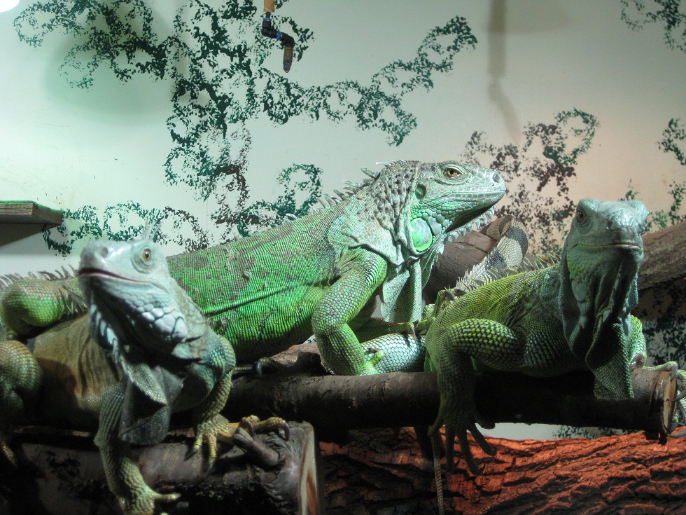 IMG_3794 - Kopie.JPG