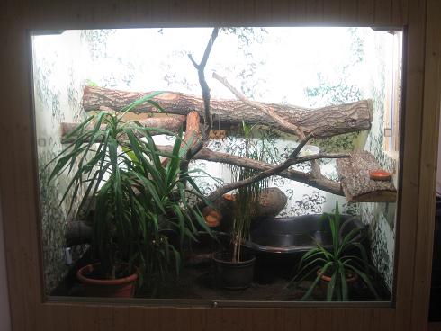Terrarium.jpg