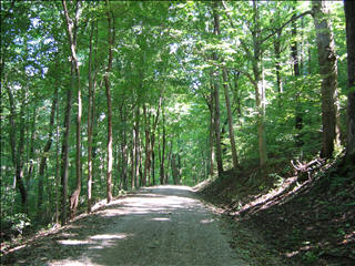 road.jpg