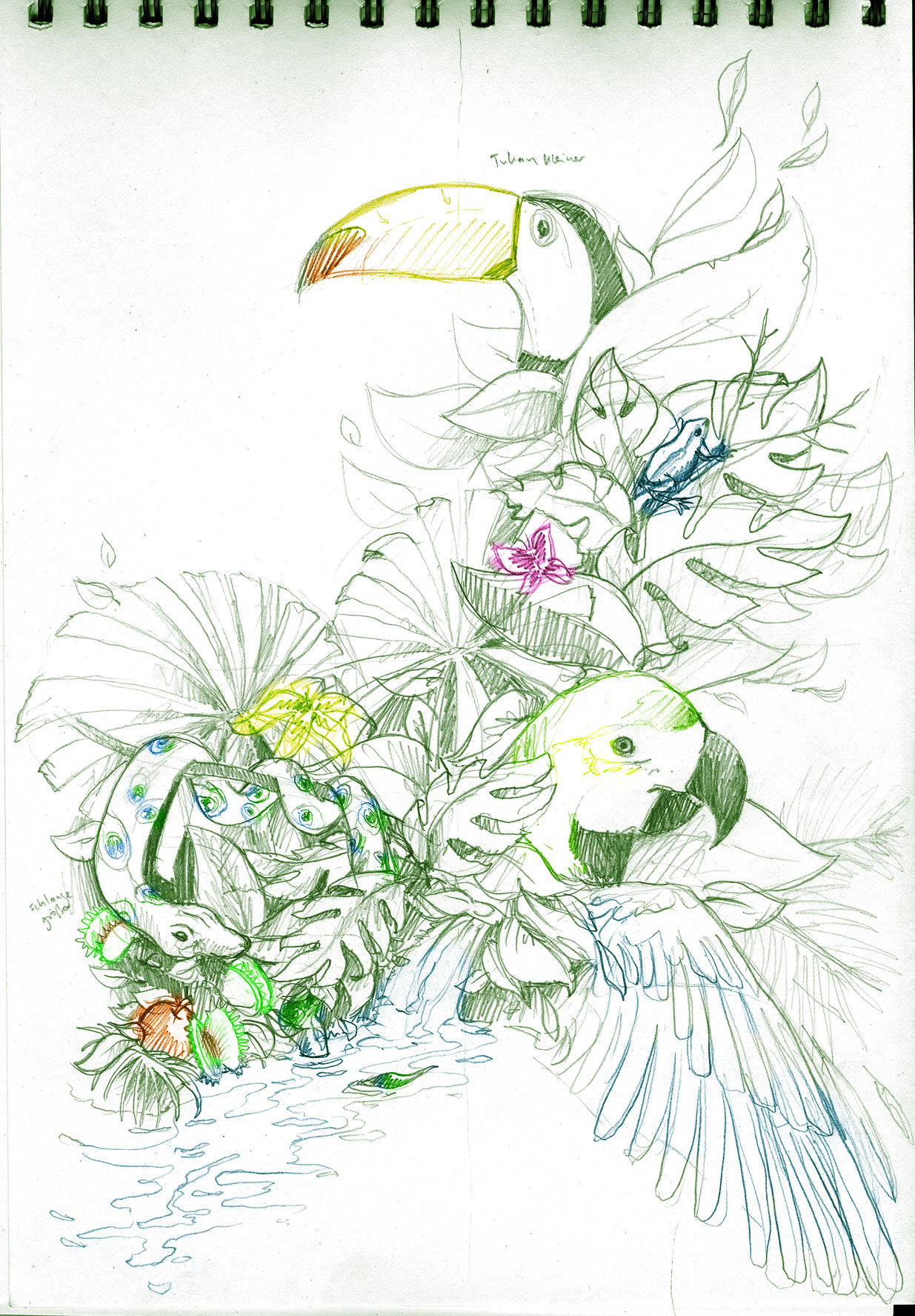 Vorschau_scribble1.jpg