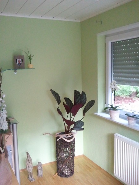 2011-06-10 19.24.46.jpg