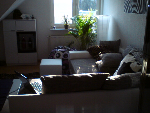 DSC00703.JPG