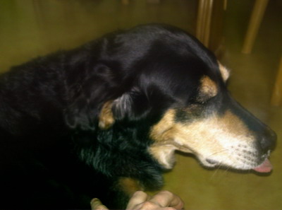bella5.jpg