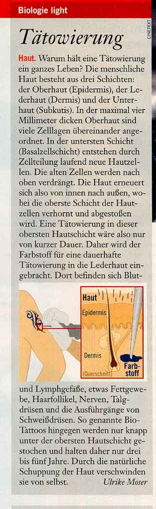 blÃƒÂ¶dsinn.jpg