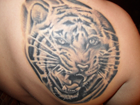 tiger.jpg