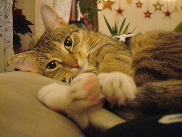 emmi 016.JPG