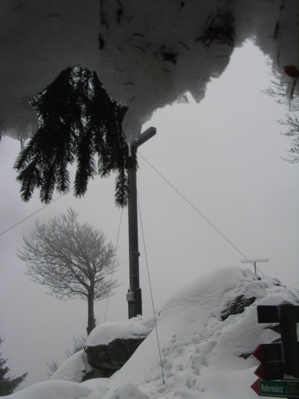 RIMG0220.JPG