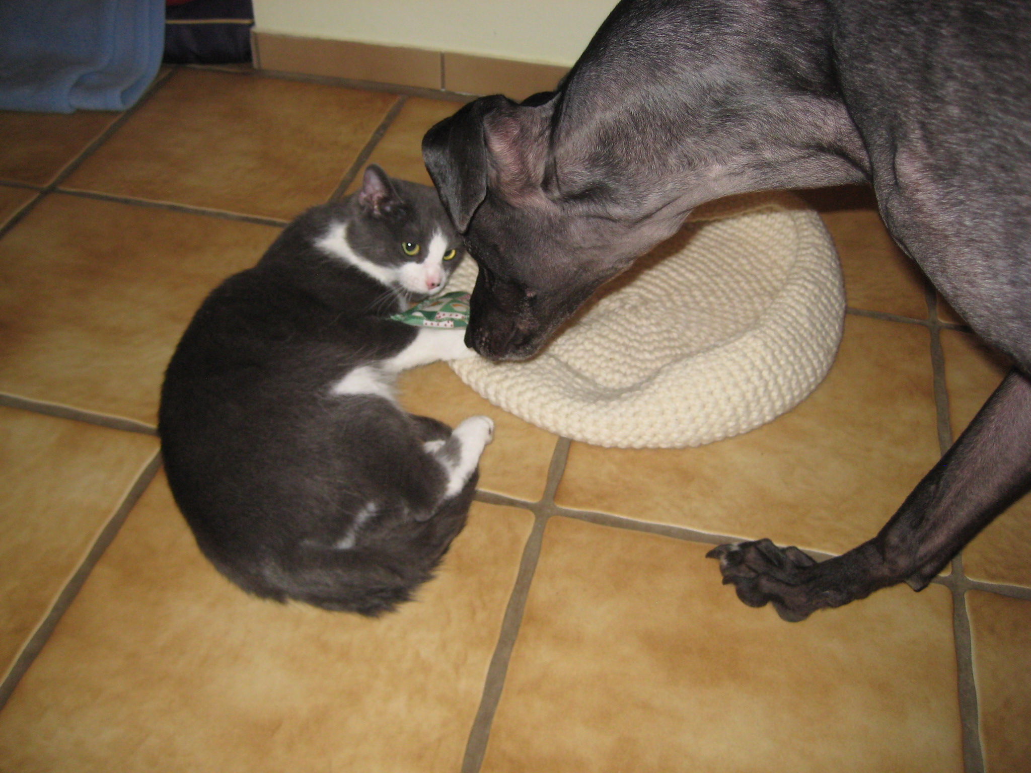 IMG_1276.JPG