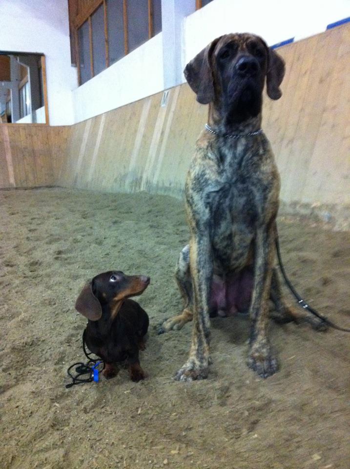 fritz&kash.jpg