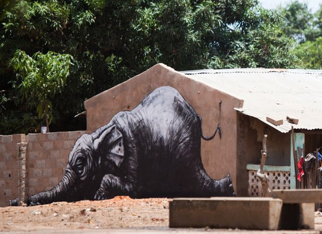elephant.jpg