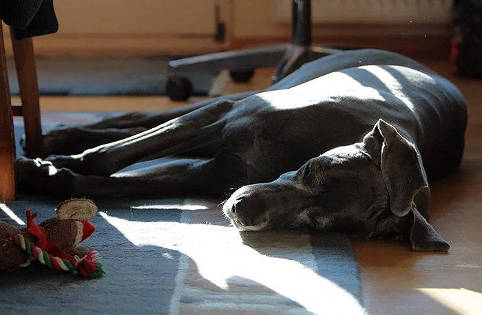 sonne02.02.2012.jpg
