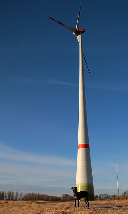 kl_wr_16.02.2012.jpg