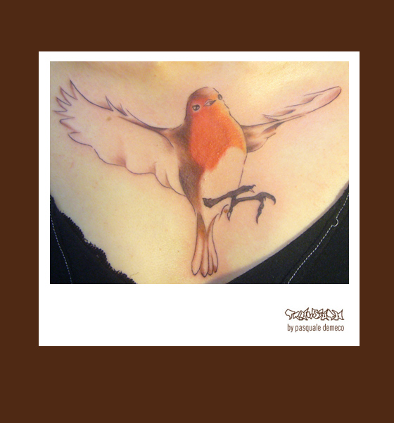 traumata_tattoo_rotkehlchen.jpg