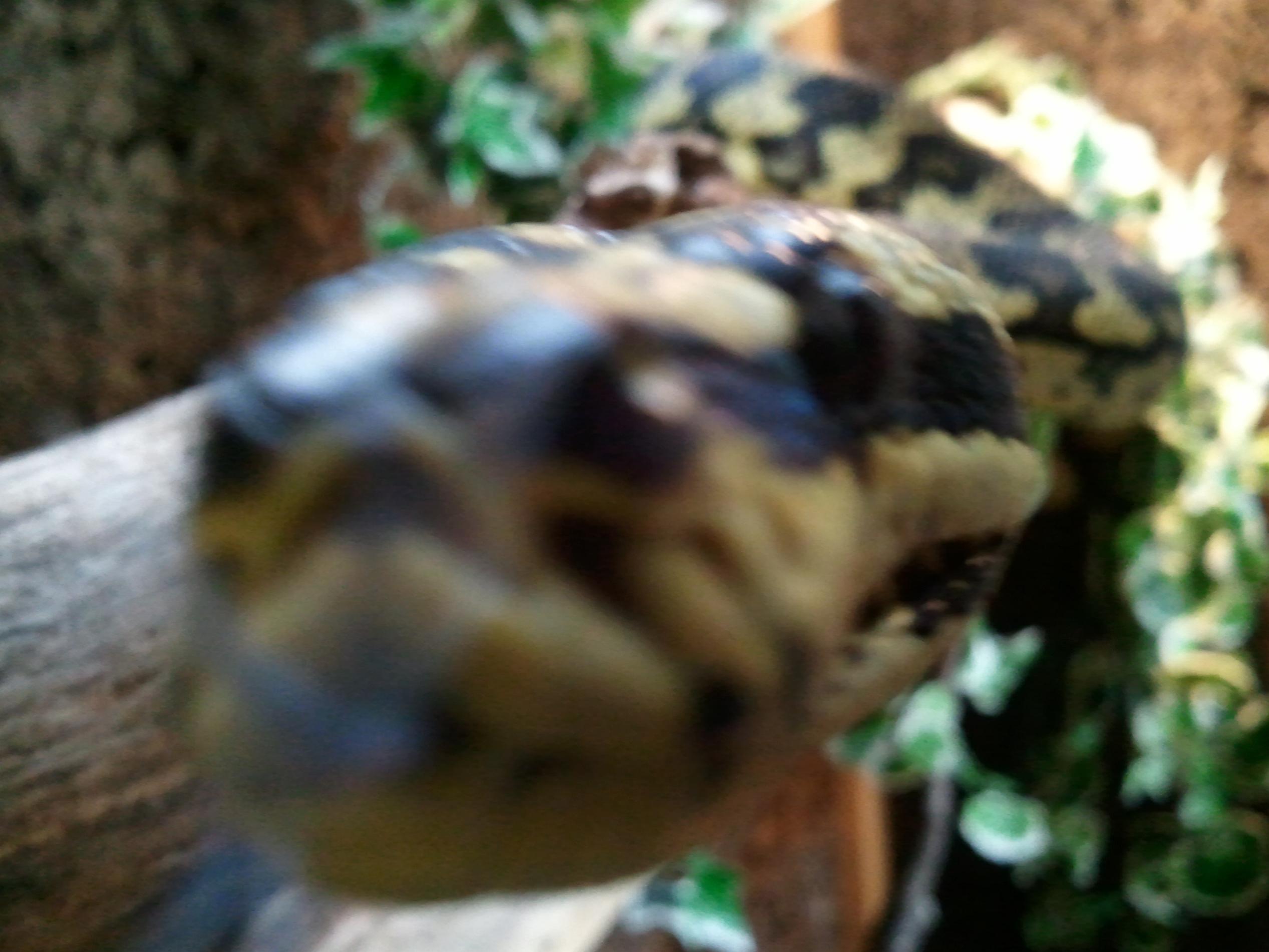 WP_000738.jpg