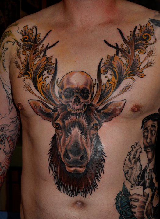 moose.jpg