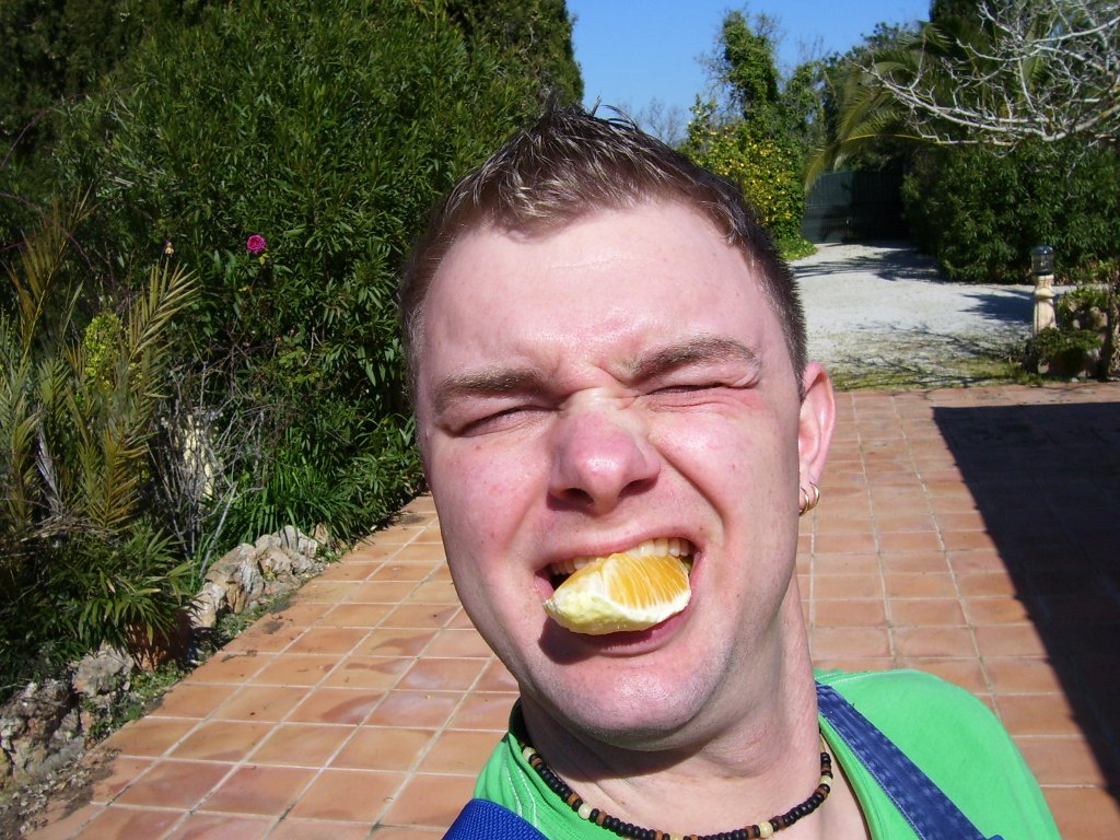 100_6774.JPG