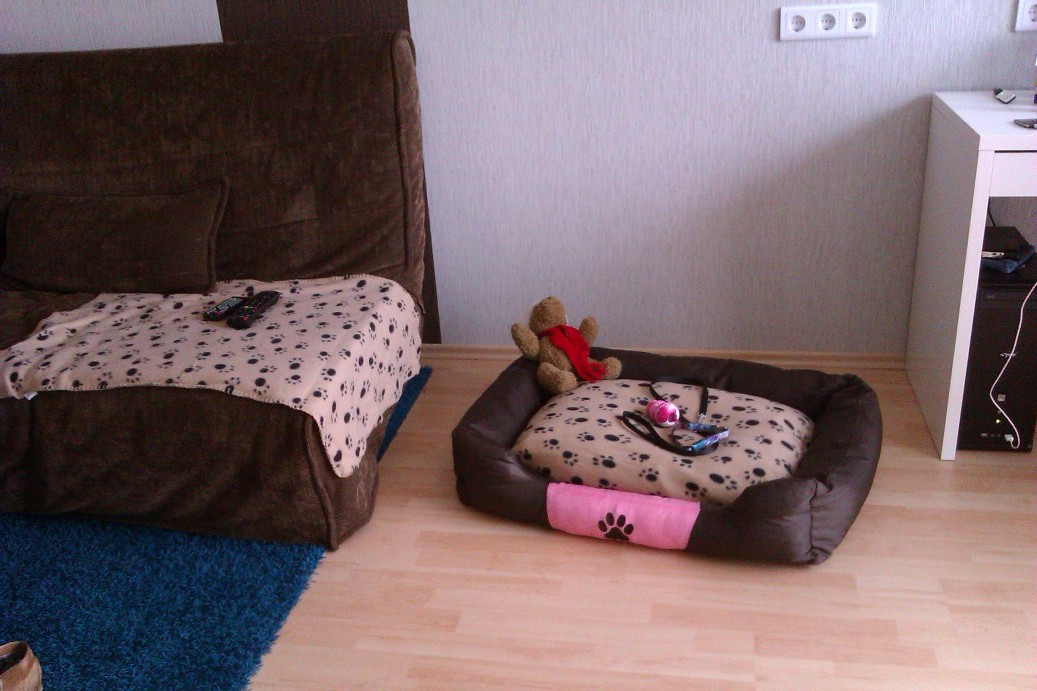 IMAG0087.jpg