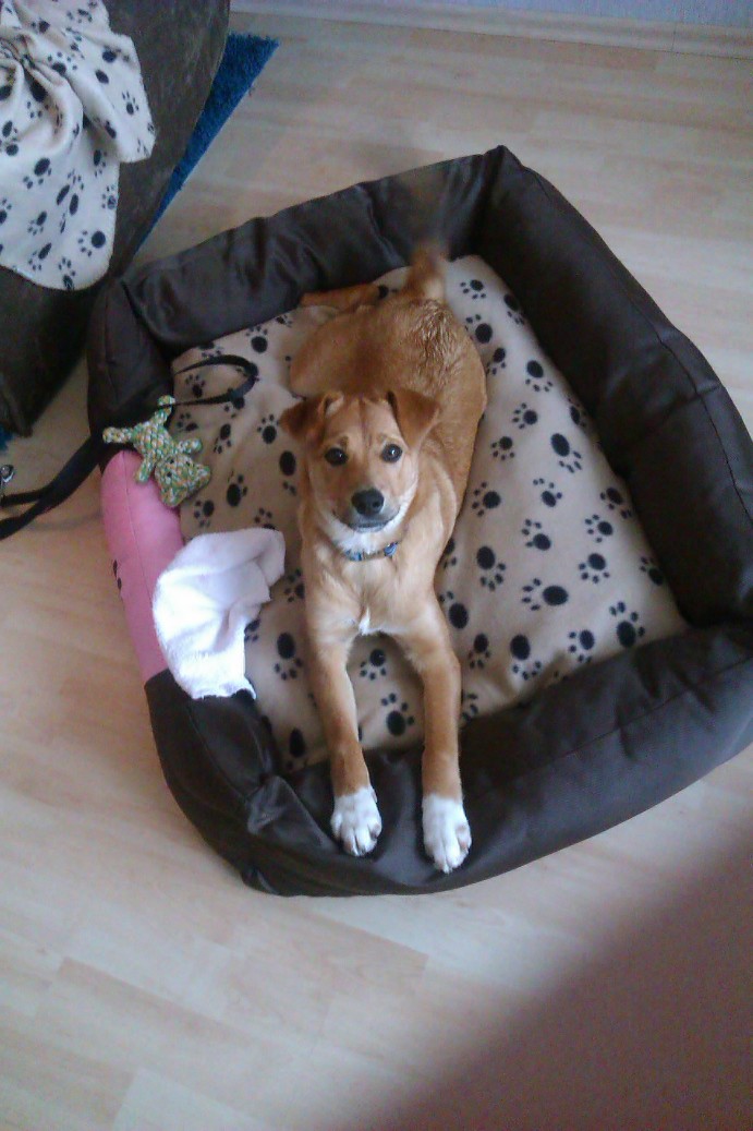 IMAG0096.jpg