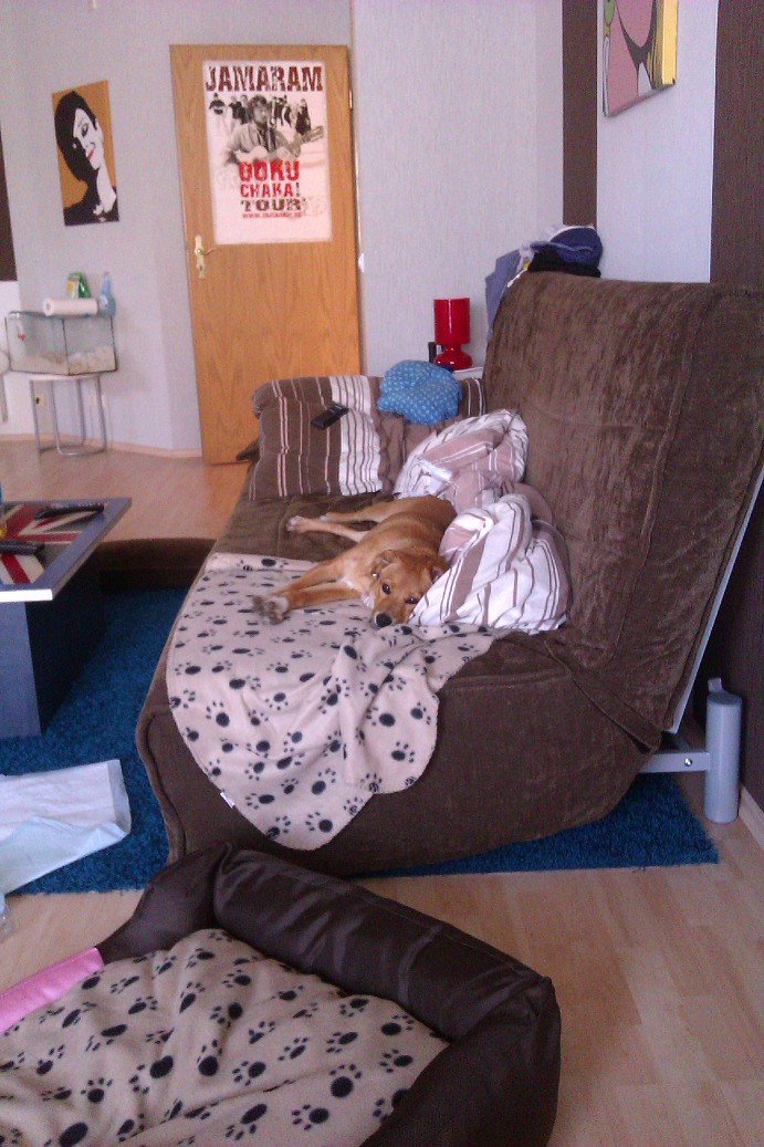 IMAG0098.jpg