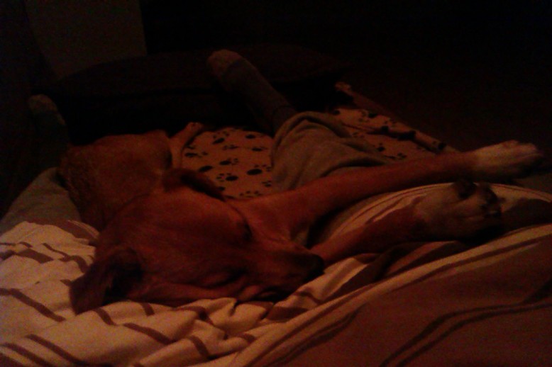 IMAG0093.jpg