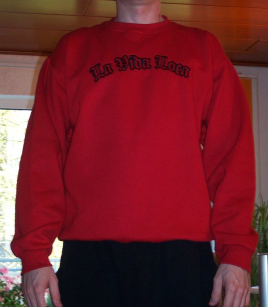 new_la_vida_loca_sweat.JPG