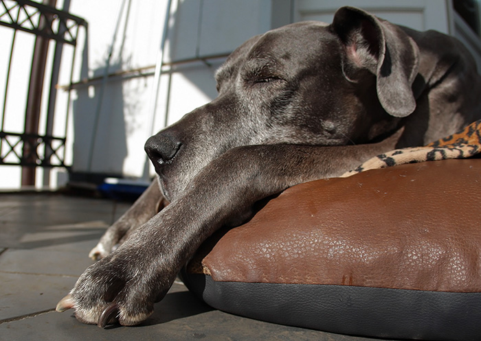 kl_maerzsonne1_16.03.2012.jpg