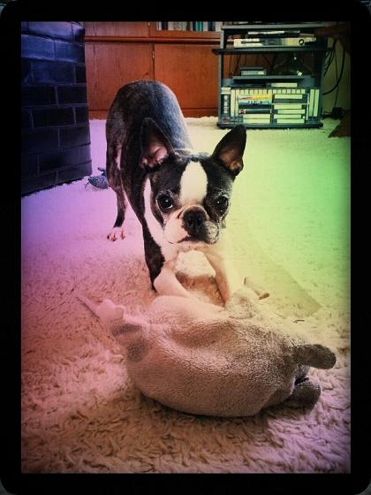 2012-03-29 13.50.26.jpg