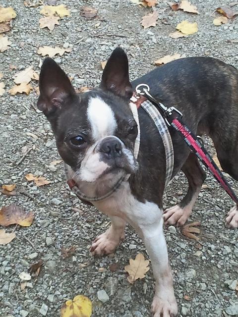 2011-11-01 14.05.00.jpg