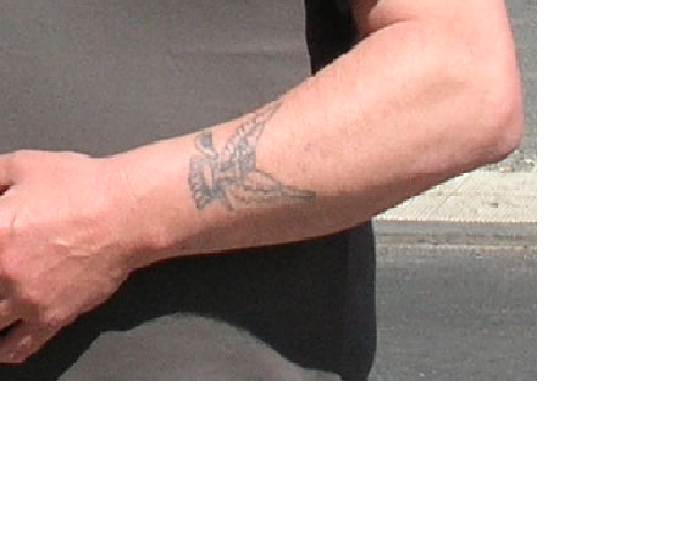 TattooAdler.png