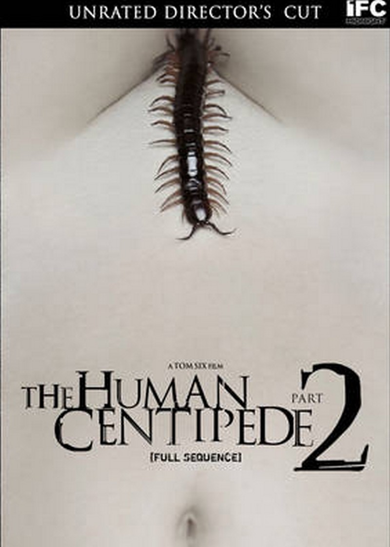 centipide.jpg