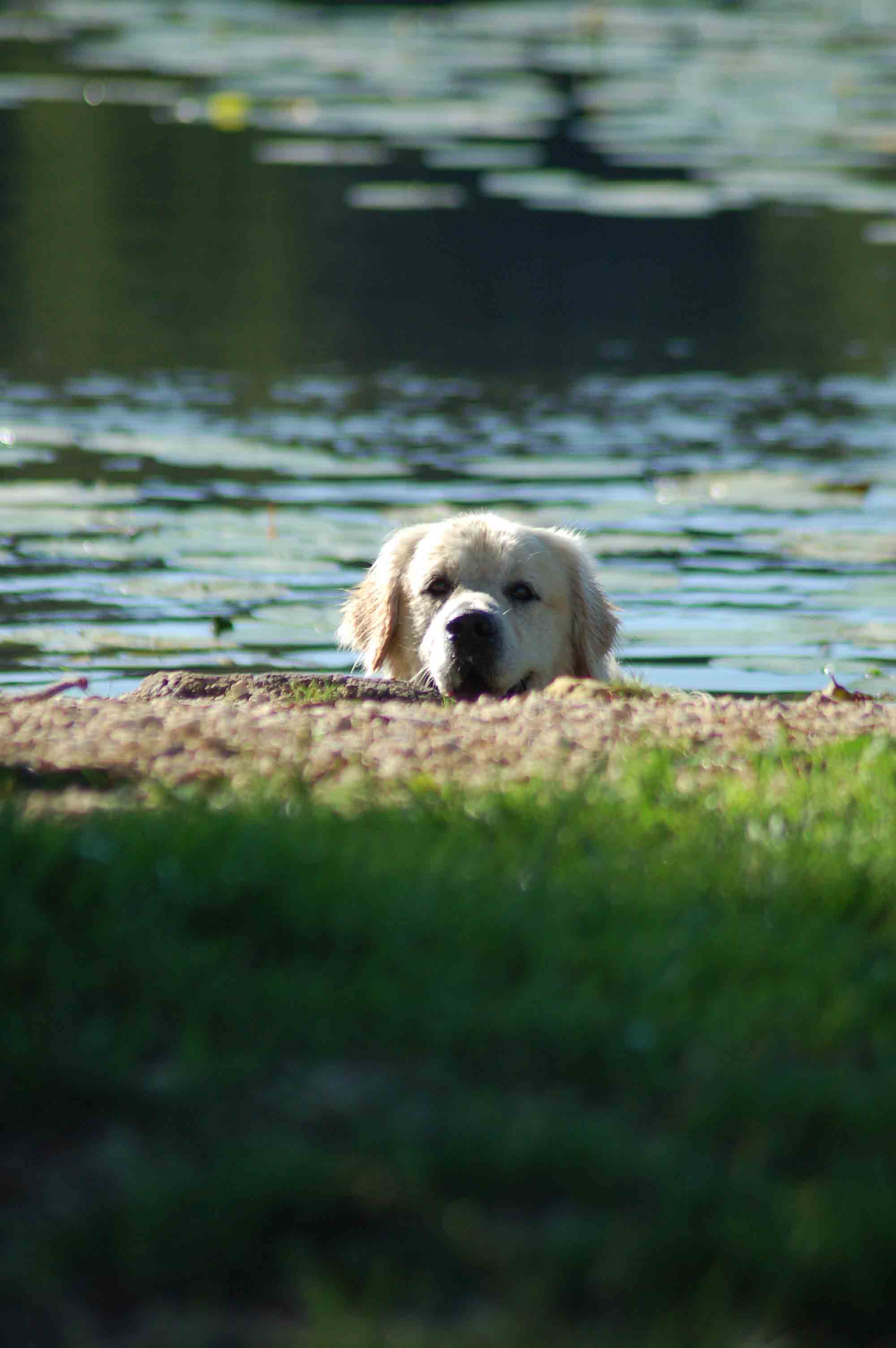 DSC_2081ps.jpg