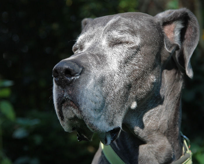 garten67_24.07.2012.jpg