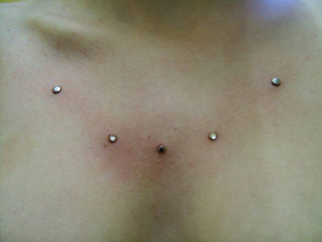 micro dermals 003.jpg