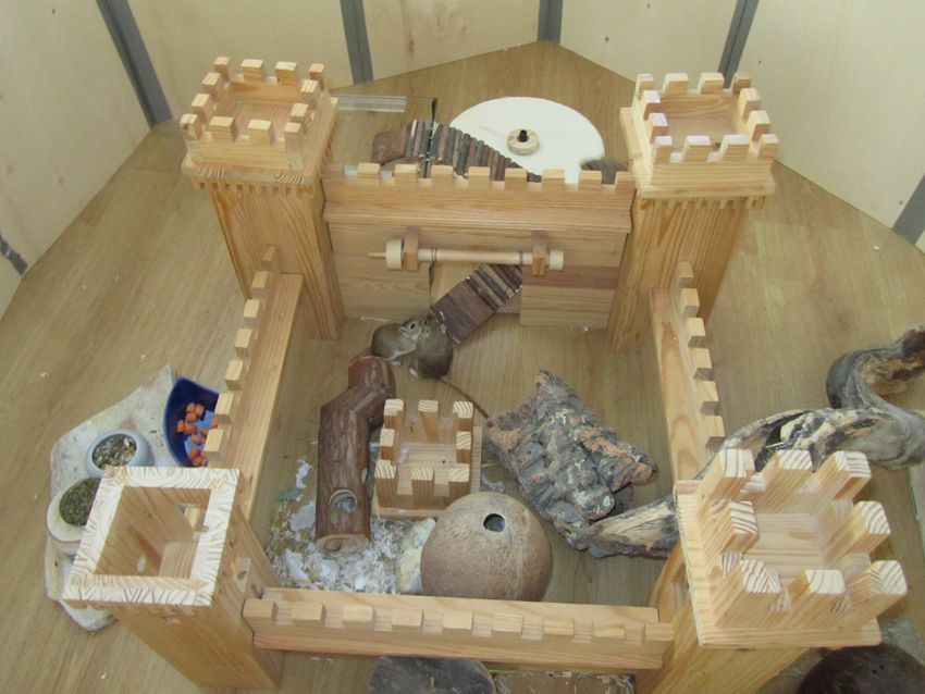 Burgfrollains 1.jpg