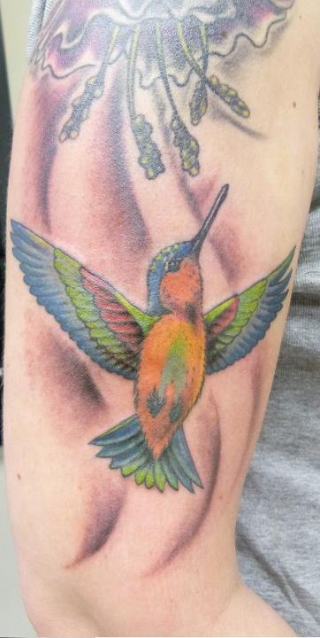 Kolibri und Blume.jpg