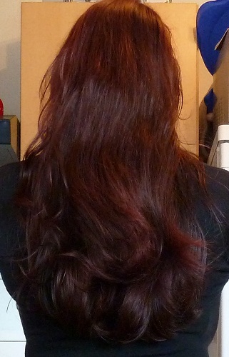 Haare8011.jpg