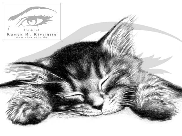 b_03_09_02_katze_02.jpg