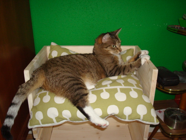 emmi (72).JPG