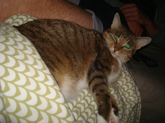 emmi (83).JPG