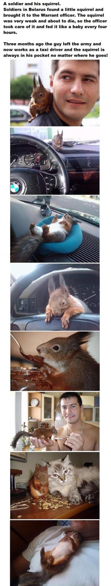 squir.jpg