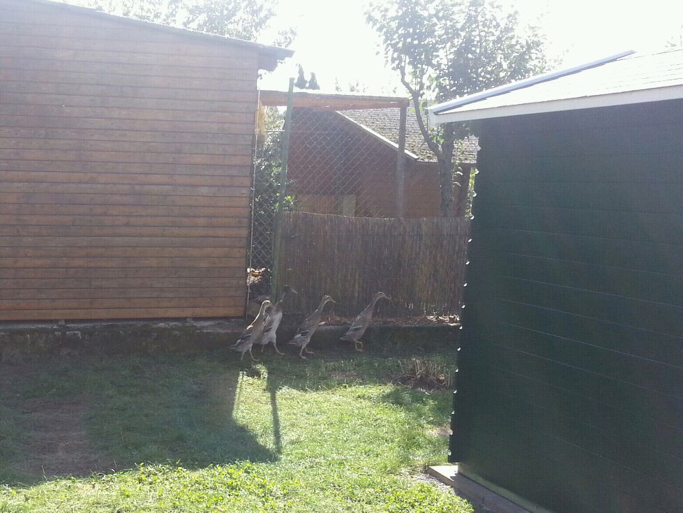 IMG-20120930-WA0000.jpg