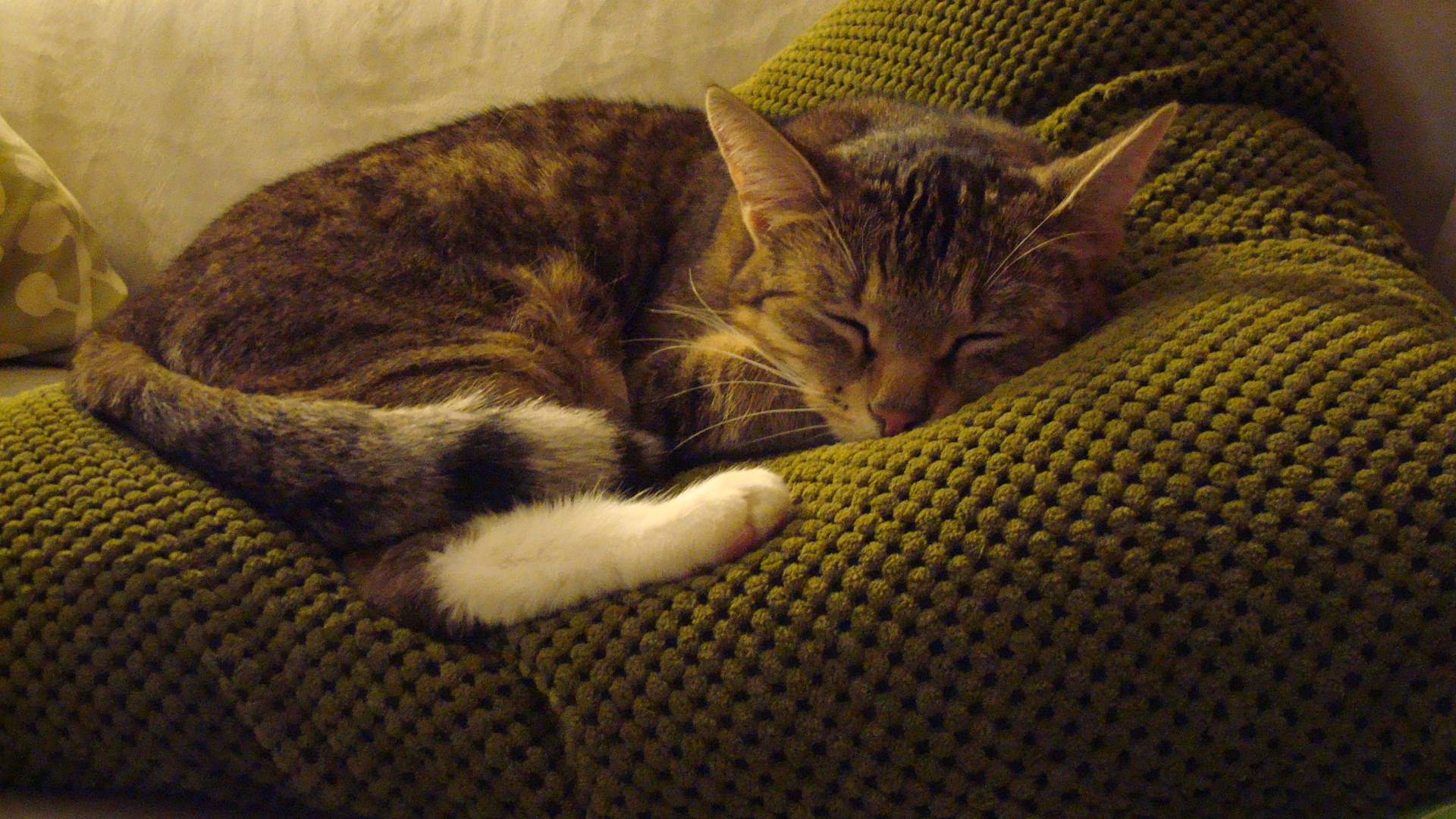 emmi (89).JPG